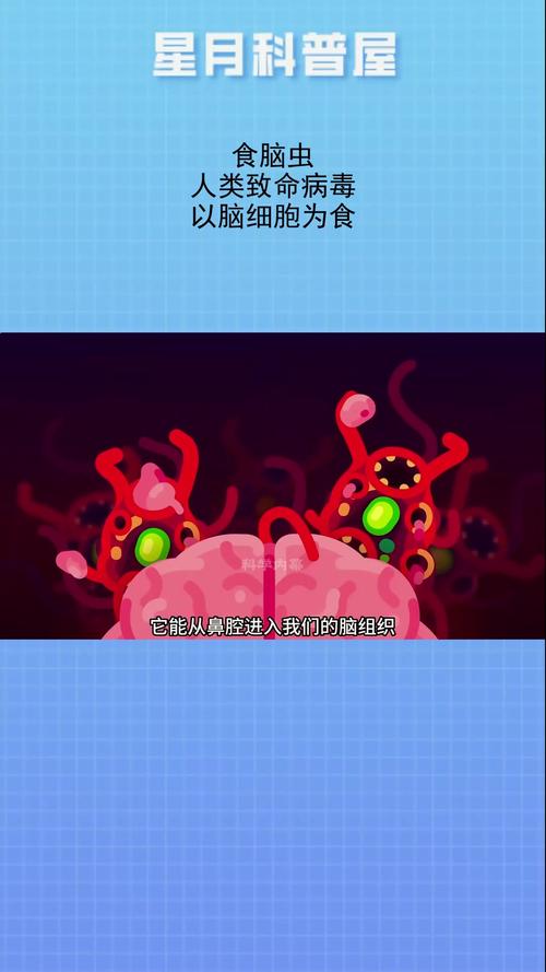 新門內(nèi)部資料免費(fèi)提供和5歲女童感染食腦蟲(chóng)與食腦蟲(chóng)感染幾率