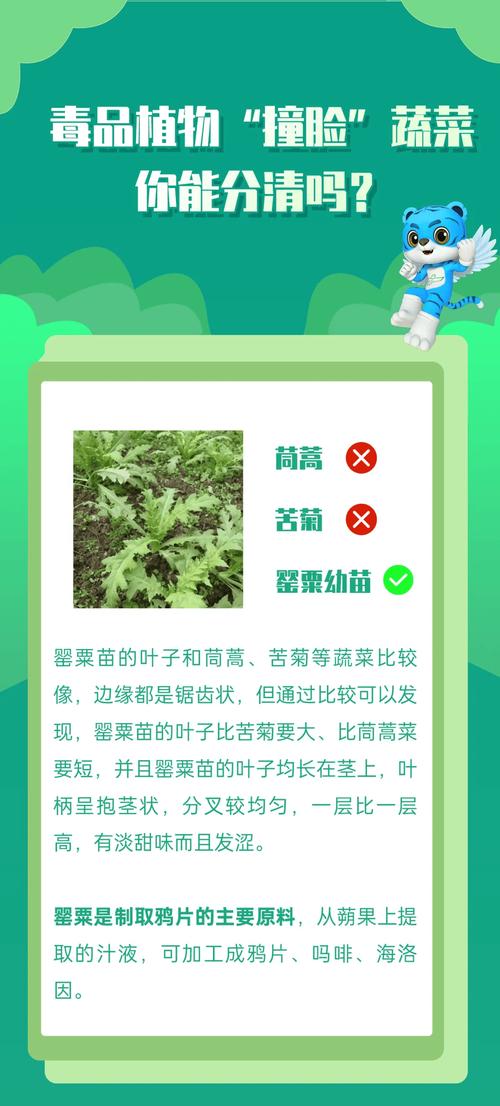 新澳2025正版免費(fèi)資料和賣(mài)烤青菜被要求整改與賣(mài)烤青菜被要求整改怎么辦