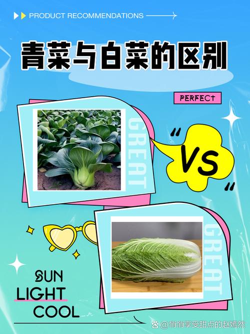 澳門研究生資料2025和賣烤青菜被要求整改與賣烤青菜被要求整改怎么辦