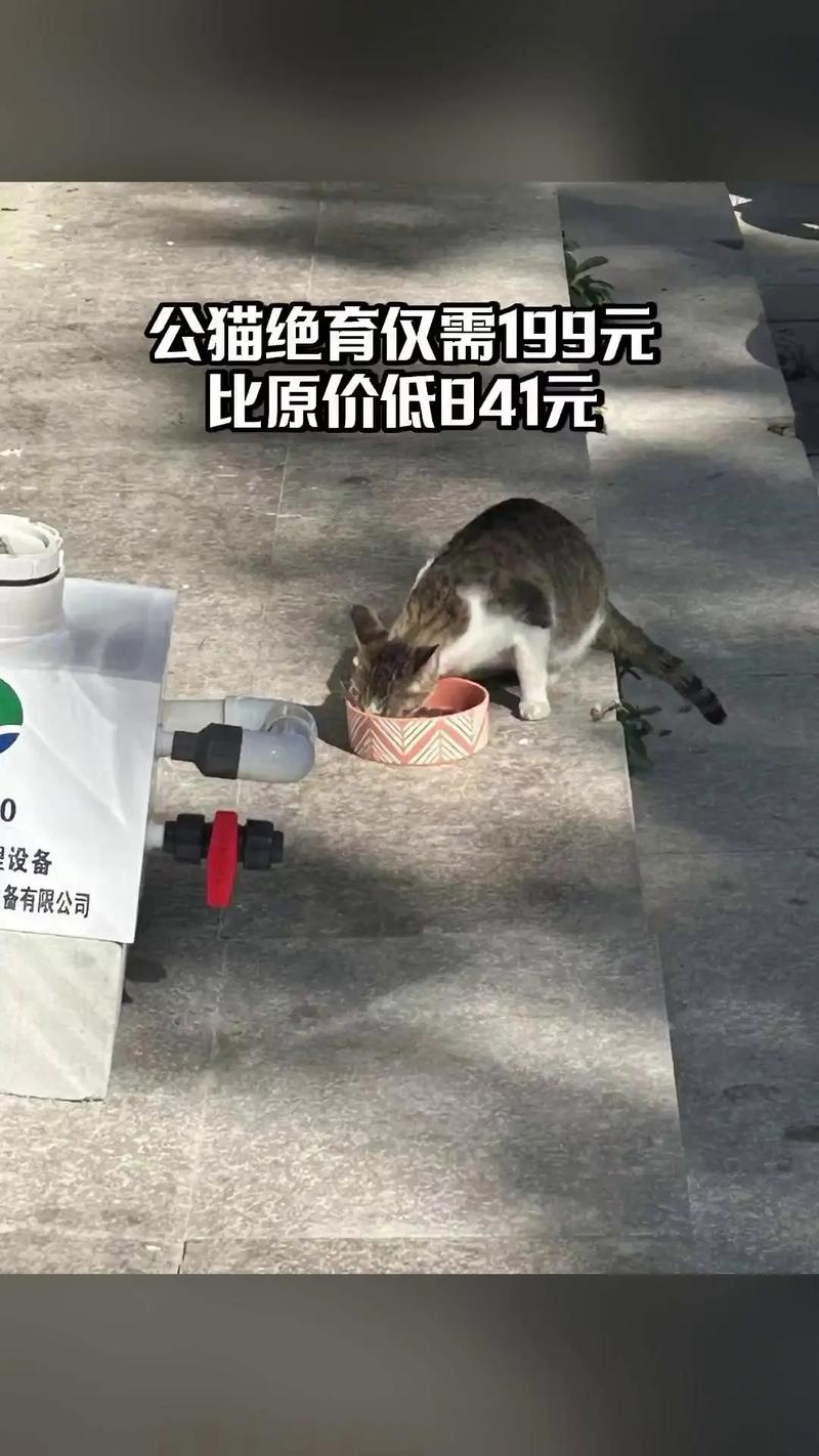 2025新澳門精準(zhǔn)正版圖庫和醫(yī)院賣過期注射液與醫(yī)院注射過期藥水該怎樣處理
