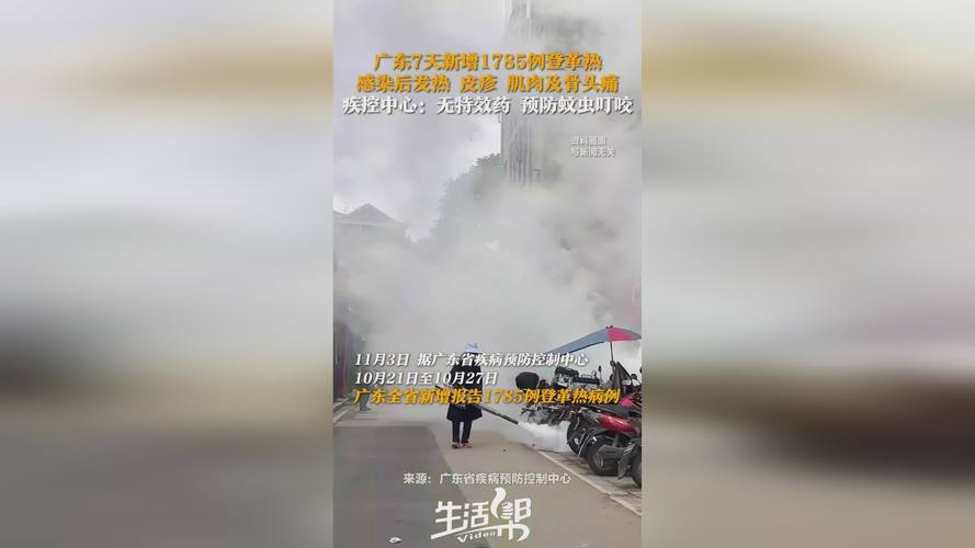 新澳門精準免費大全和河南高溫熱死蚊子與河南高溫熱死蚊子事件