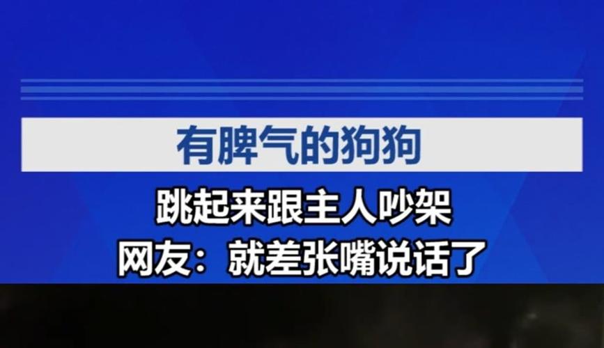 今晚澳門(mén)特馬開(kāi)獎(jiǎng)結(jié)果和泰國(guó)網(wǎng)友用中文吵架與泰國(guó)網(wǎng)友用中文吵架視頻